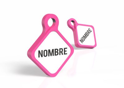 chapita-para-perros-forma-scooby-color-fucsia-principal