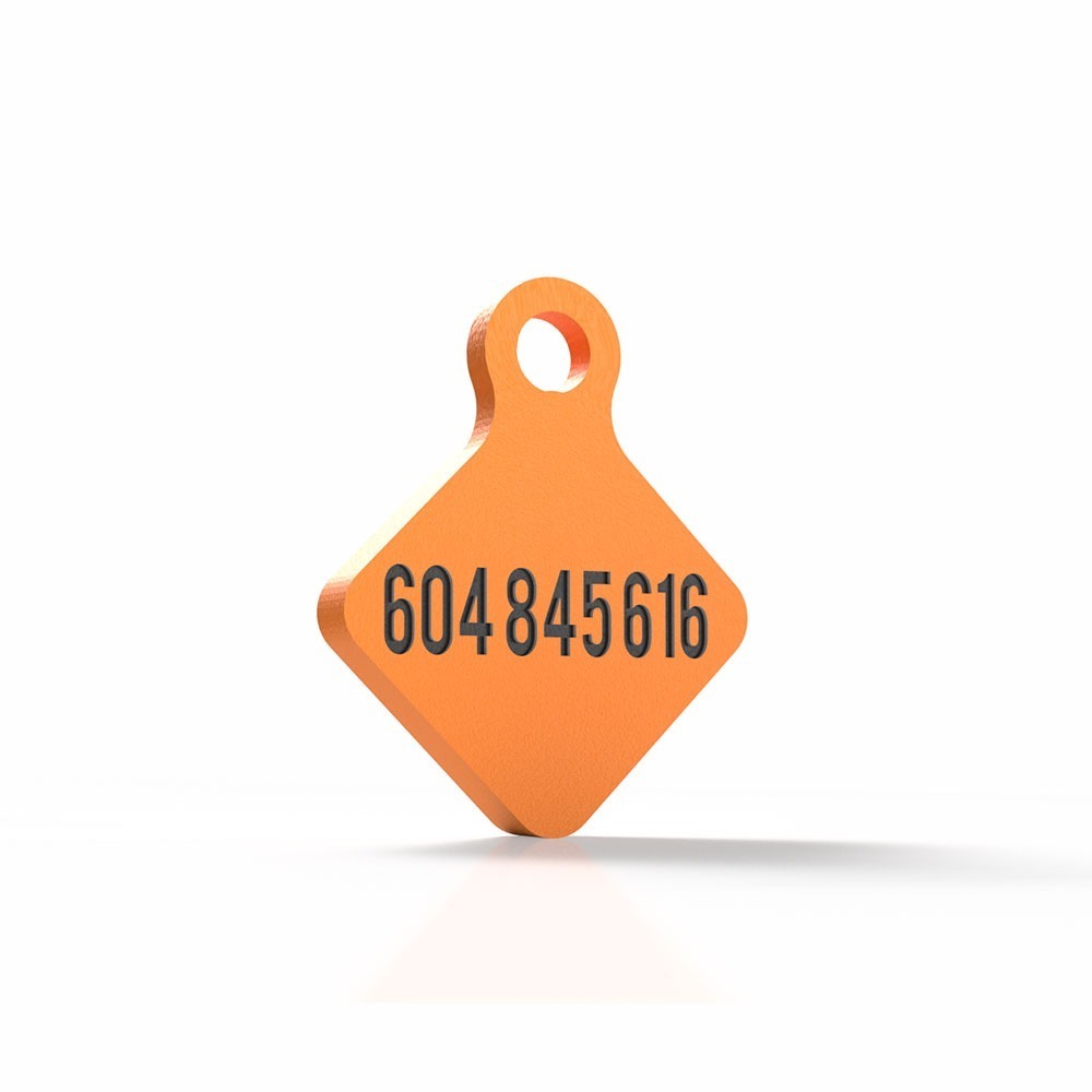 Chapita Guau! Scooby naranja 2 Mira Que Guau! chapita-para-perros-forma-scooby-color-naranja-trasera