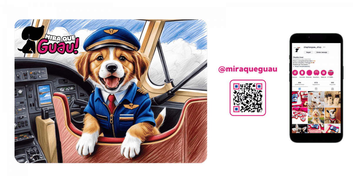 De Vacaciones en Avión: Cómo Volar con tu Perro Sin Complicaciones 1 Mira Que Guau! Mira Que Guau!