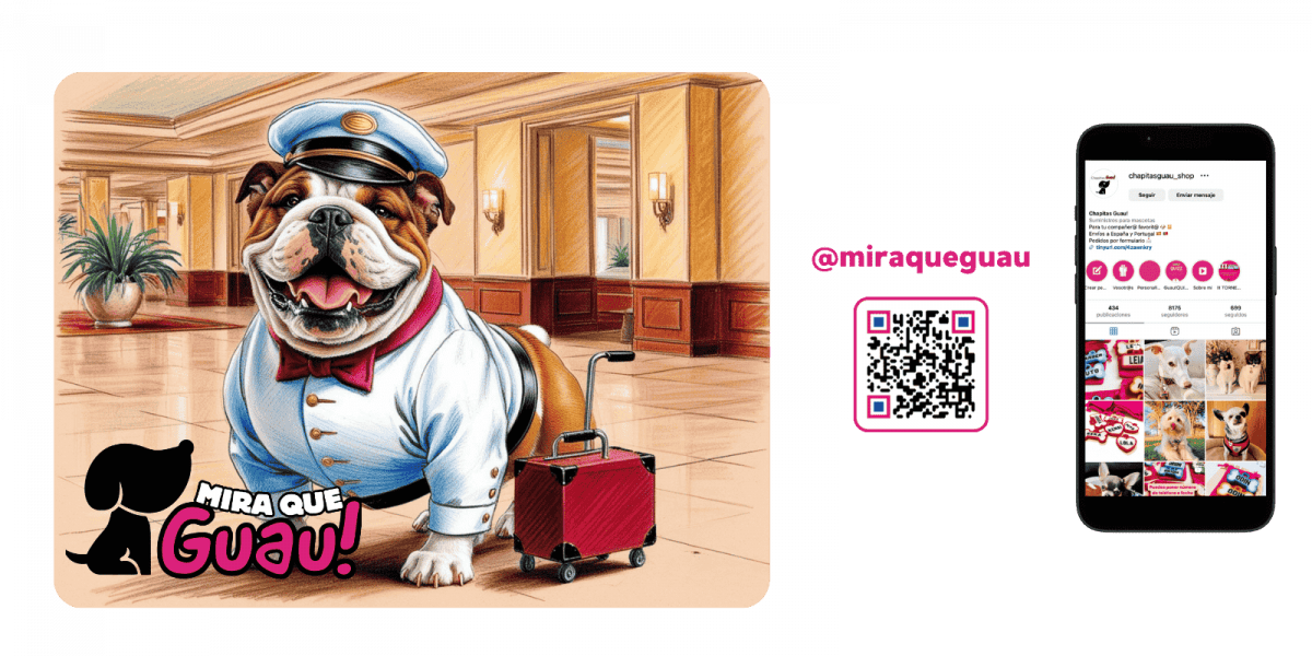 Hoteles y Alojamientos Pet-Friendly: Consejos para Elegir el Mejor Lugar para Ti y tu Perro 1 Mira Que Guau! Infórmate sobre las normas de limpieza para evitar sorpresas en la factura final.