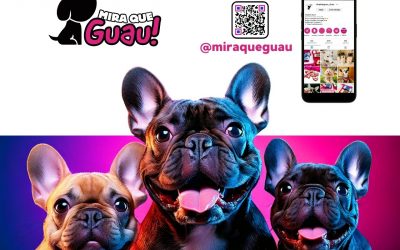 Pequeño, encantador y divertido: ¡Conoce al Bulldog Francés!