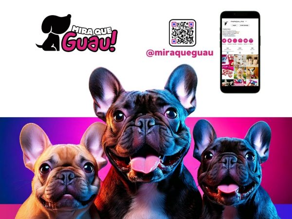 ¿Te gustaría conocer más razas? Descubre en MiraQueGuau al próximo amigo perfecto para ti.