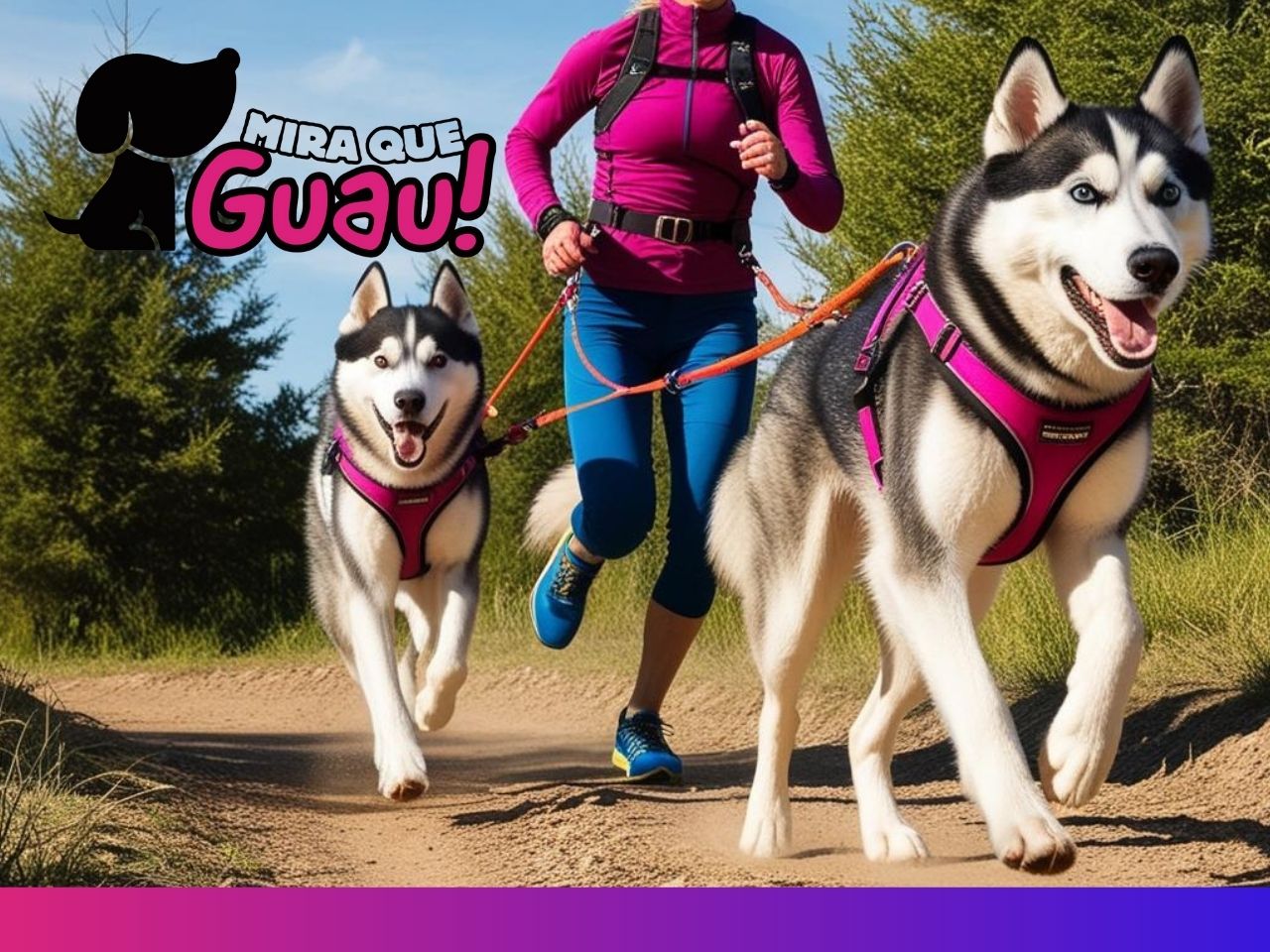 canicross-deporte-canino