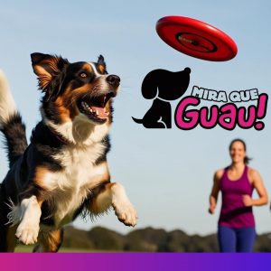 Un Deporte Lleno de Diversión y Creatividad