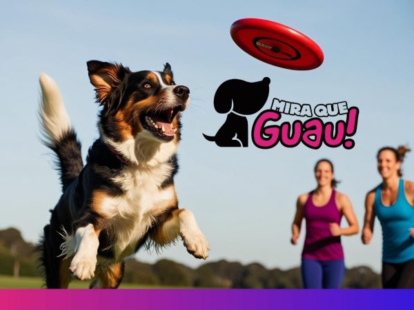 Un Deporte Lleno de Diversión y Creatividad