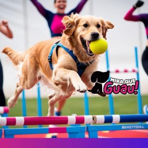 El Flyball es perfecto para perros activos y dueños que buscan una actividad llena de emoción y trabajo en equipo. Ya sea para competir o simplemente para disfrutarlo como hobby, este deporte te garantiza momentos inolvidables con tu perro.