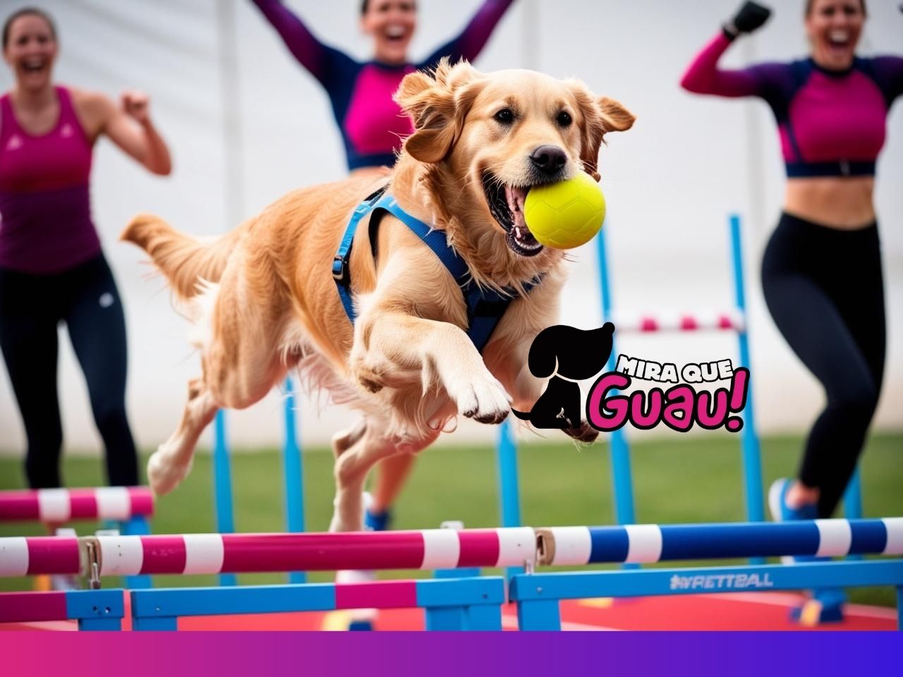 El Flyball es perfecto para perros activos y dueños que buscan una actividad llena de emoción y trabajo en equipo. Ya sea para competir o simplemente para disfrutarlo como hobby, este deporte te garantiza momentos inolvidables con tu perro.