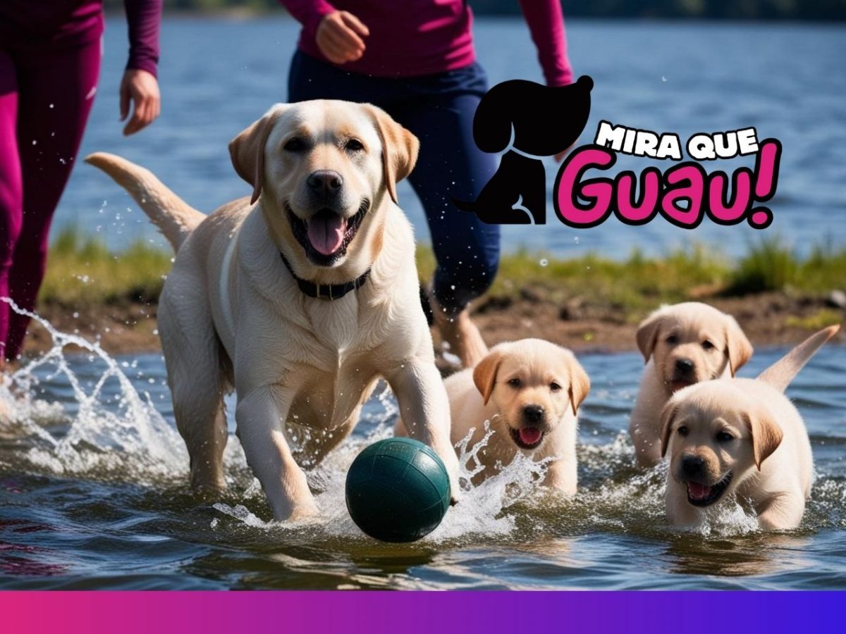 Amable, sociable, inteligente y extremadamente activo.