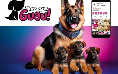 Fidelidad y Versatilidad: Descubre Todo sobre el Pastor Alemán