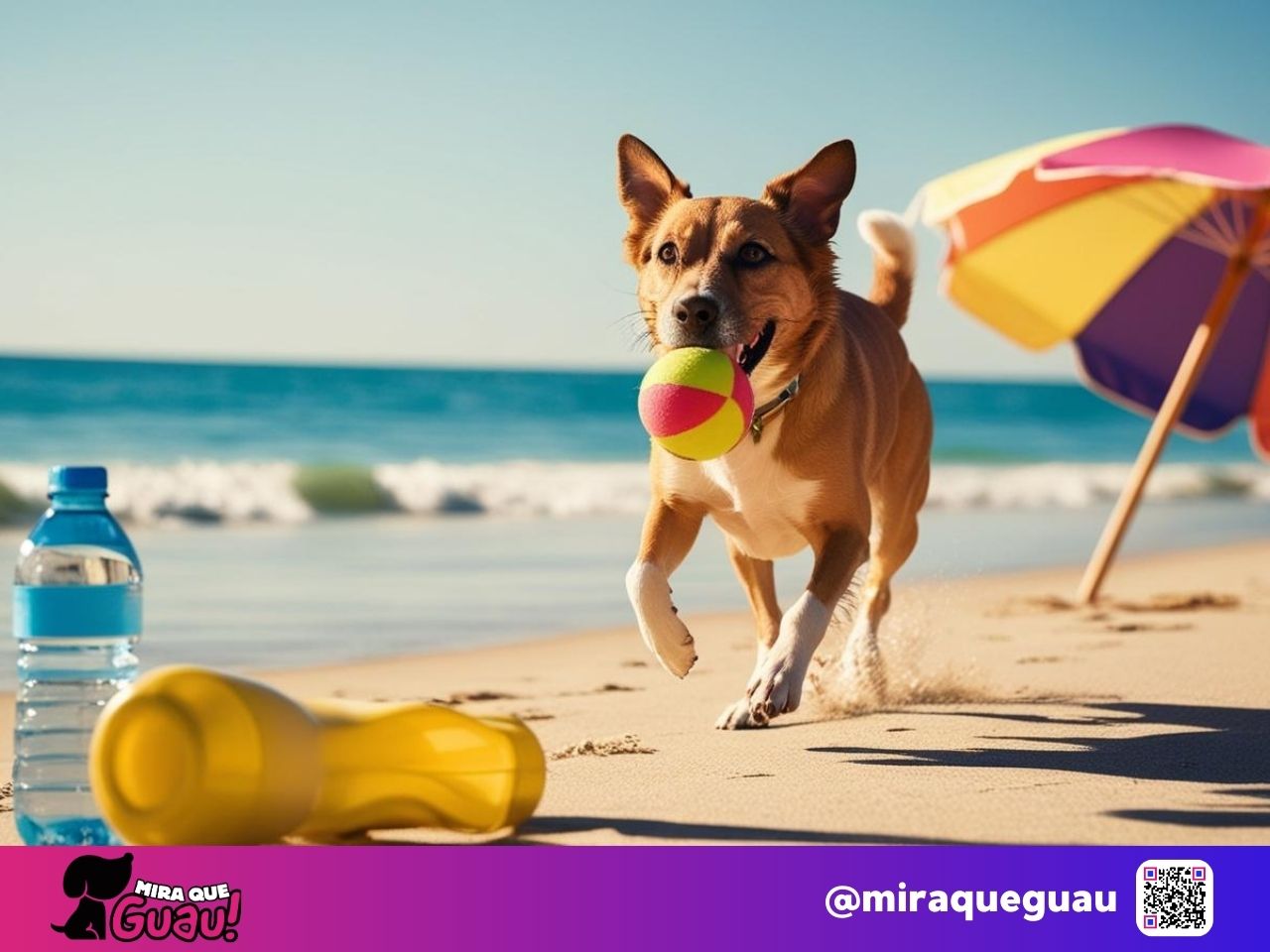 Un día en la playa con tu perro puede ser inolvidable si planeas con cuidado. España ofrece playas maravillosas donde podéis disfrutar juntos del sol, el mar y la arena. Recuerda siempre cuidar su bienestar y respetar las normativas locales para garantizar una experiencia positiva para todos