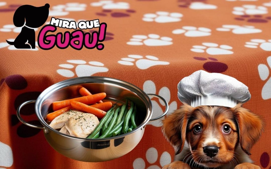 Una Receta Sencilla y Saludable: Pollo y Verduras al Vapor para Tu Perro