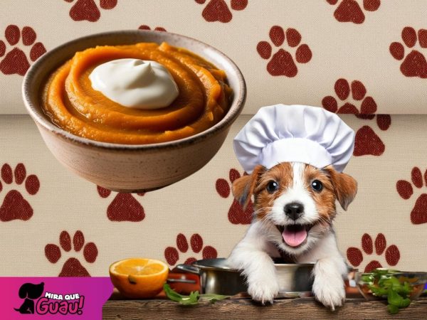 Esta receta es informativa y busca inspirar una alimentación más equilibrada para nuestras mascotas.