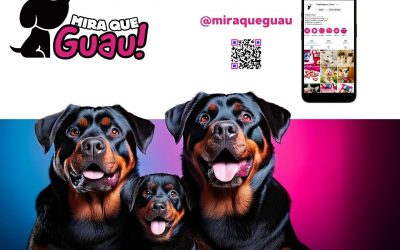 Fuerza y Lealtad: Descubre al Poderoso Rottweiler