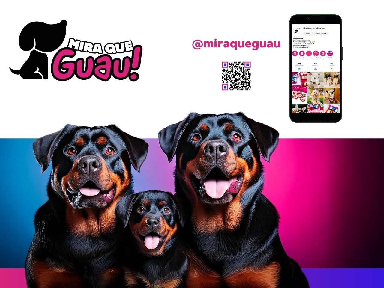 rottweiller-razas-de-perros-miraqueguau uerza y Lealtad: Descubre al Poderoso Rottweiler