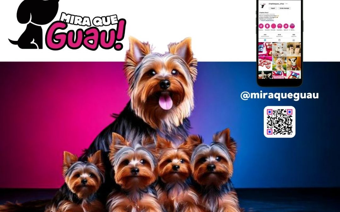 Pequeño pero con gran personalidad: ¡Descubre al Yorkshire Terrier!